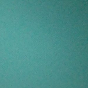 Meet your Posher, Reyna